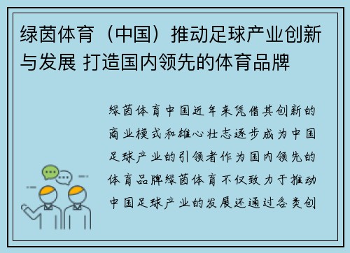绿茵体育（中国）推动足球产业创新与发展 打造国内领先的体育品牌
